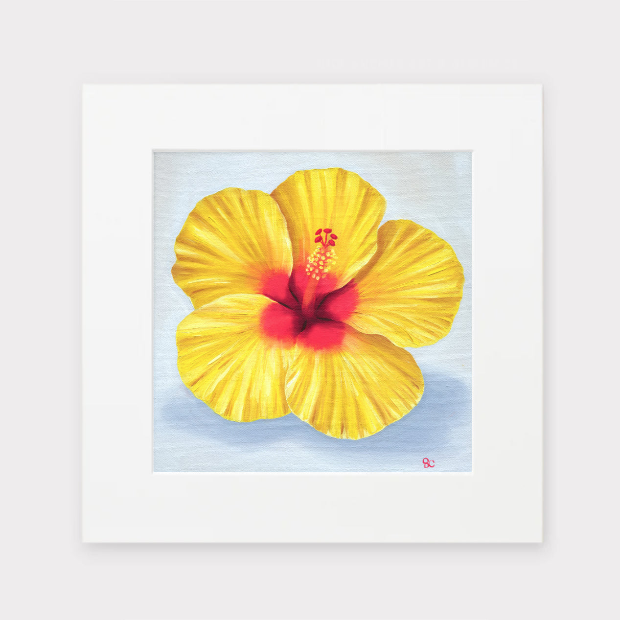 Sarah Caudle / サラカードル】”Hibiscus No. 3”Matted Print – Sarah