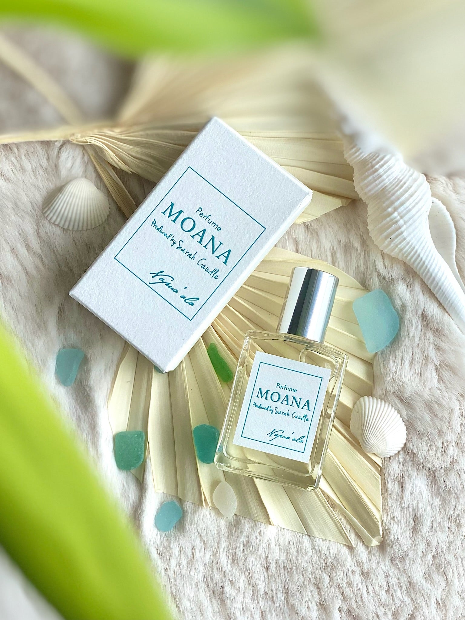 Sarah Caudle / サラカードル】 Perfume Moana – Sarah Caudle Art Japan
